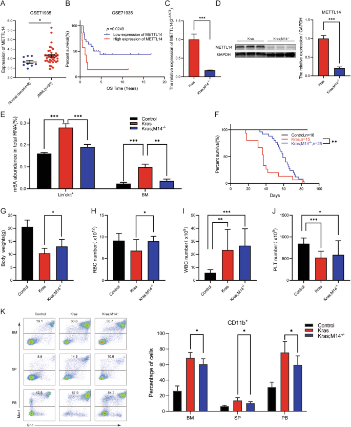 The m6A methyltransferase METTL14 promotes oncogenic Kras induced juvenile myelomonocytic leukemia through dysregulating autophagy
