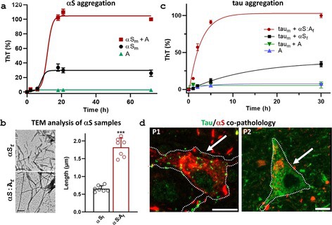 Protein Coaggregation in Caribbean Atypical Parkinsonism: The Contribution of Annonacin.