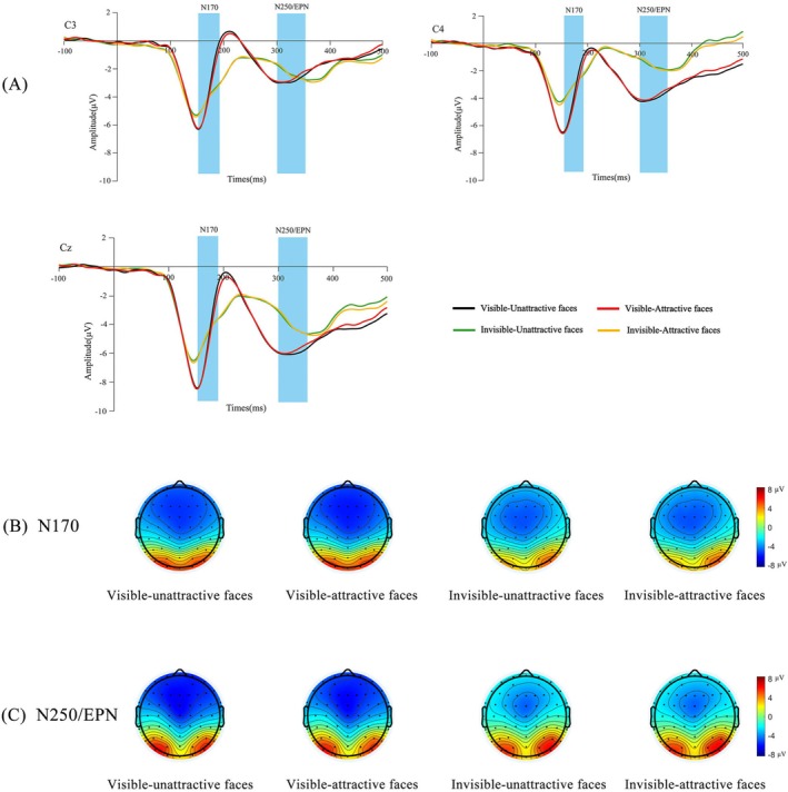 Invisible and Visible Processing of Facial Attractiveness in Implicit Tasks: Evidence From Event-Related Potentials (ERPs).