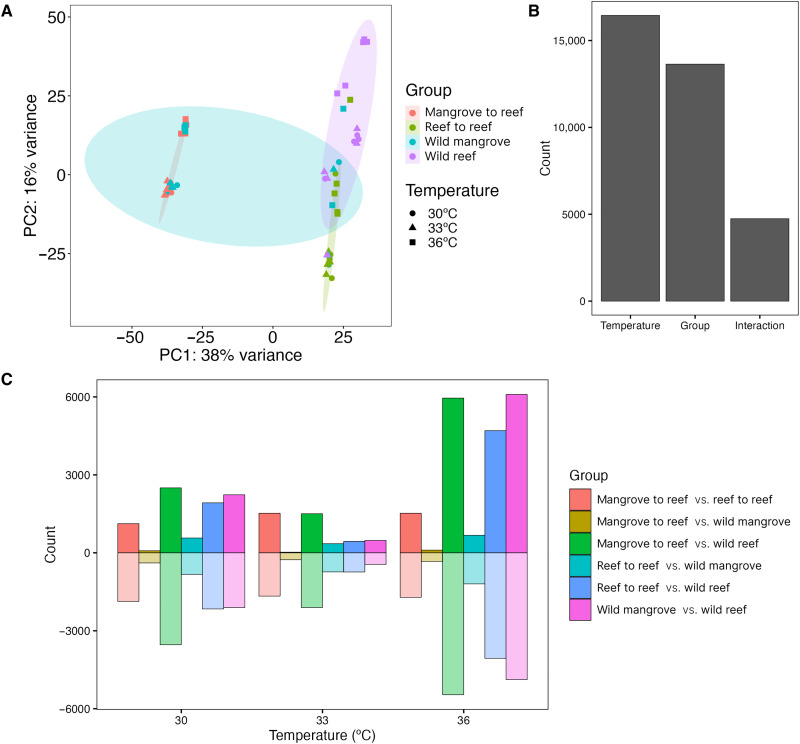 Coral thermotolerance retained following year-long exposure to a novel environment.