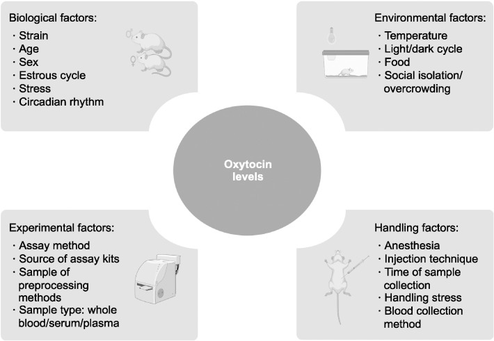 Variability in Oxytocin Blood Levels in Rats: A Review and Experimental Insights.