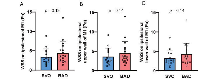 High Middle Cerebral Artery Wall Shear Stress in Branch Atheromatous Disease: A Computational Fluid Dynamics Analysis.
