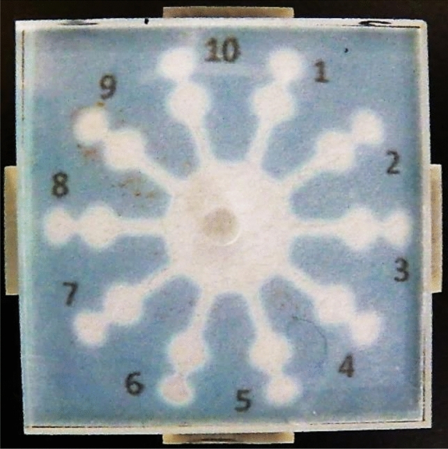 Abstract Image