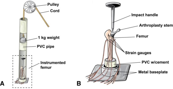 Total Hip Arthroplasty Stems and Femur Strain During Implant Insertion: A Biomechanical Study of Single Taper, Double Taper, and Collared Monolithic Stems.