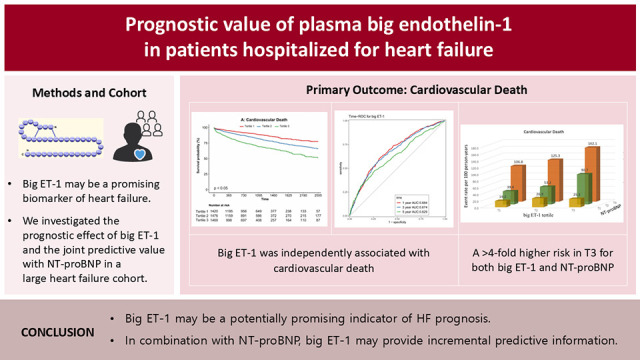 Prognostic Value of Plasma Big Endothelin-1 in Patients Hospitalized for Heart Failure.