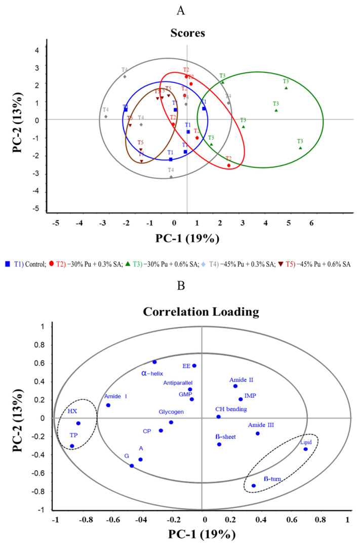 Effects of low-purine diet supplemented with Sida acuta Burm. f. on growth performance, purine deposition, and biomolecules in slow-growing chickens.