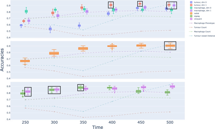 Topological classification of tumour-immune interactions and dynamics.
