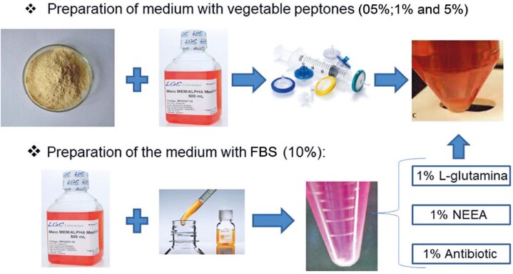 Vegetable peptones as a fetal bovine serum substitute in human deciduous tooth pulp stem cell culture.