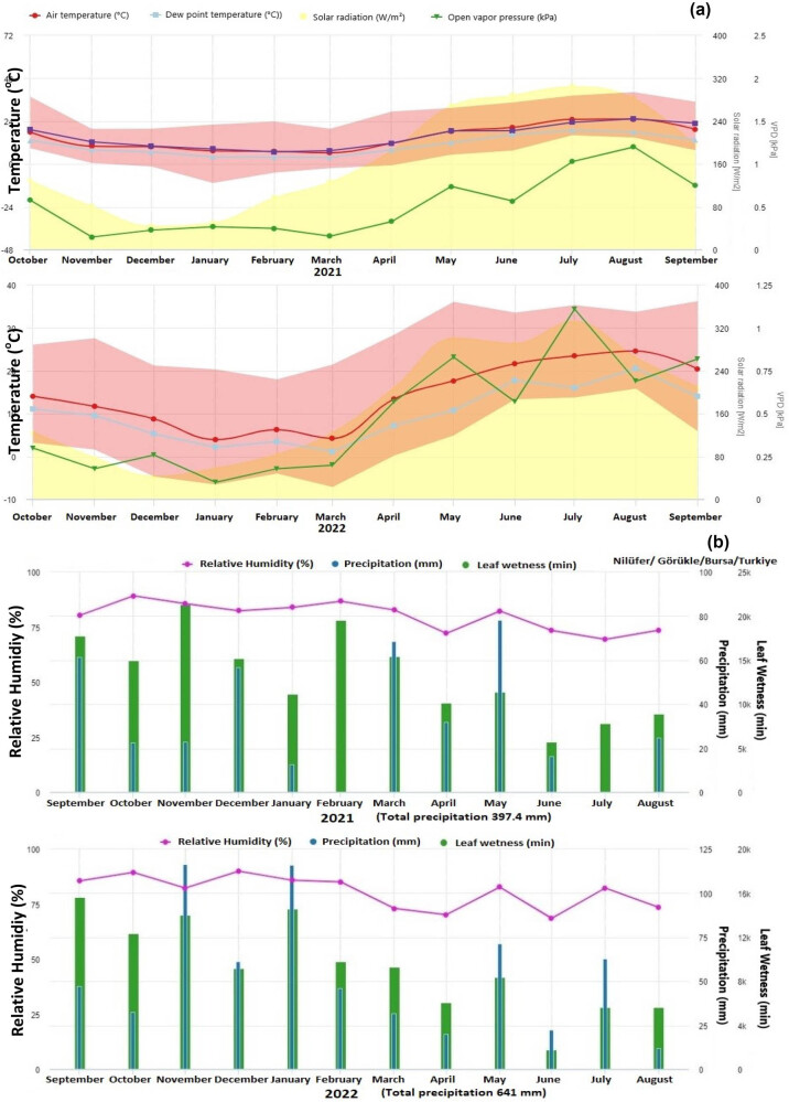 Comparative efficiency and residue levels of spraying programs against powdery mildew in grape varieties.