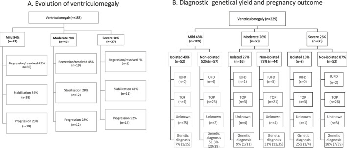 Clinical Outcome and Risk Factors for Progression of Prenatally Diagnosed Fetal Ventriculomegaly: A Retrospective Multicenter Study.