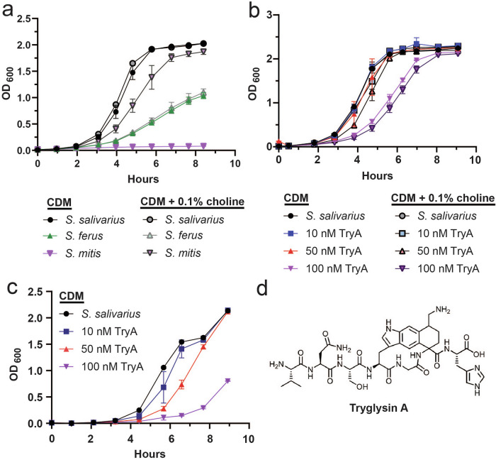 Impact of the RaS-RiPP tryglysin and culturing conditions on ex-vivo oral microbiomes.
