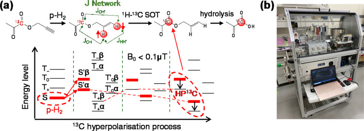 Non-invasive visualisation of long-lasting brain metabolic alterations in murine pseudo-infection model using parahydrogen-polarised [1-13C] pyruvate MRI