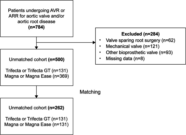 Hemodynamic performance and midterm clinical outcomes after surgical aortic valve replacement using trifecta and perimount magna valves: a Japanese single-center experience.