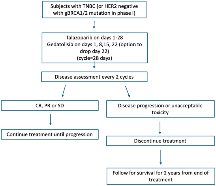 Phase I/II trial investigating gedatolisib plus talazoparib in advanced triple negative or BRCA1/2 positive, HER2 negative breast cancers.
