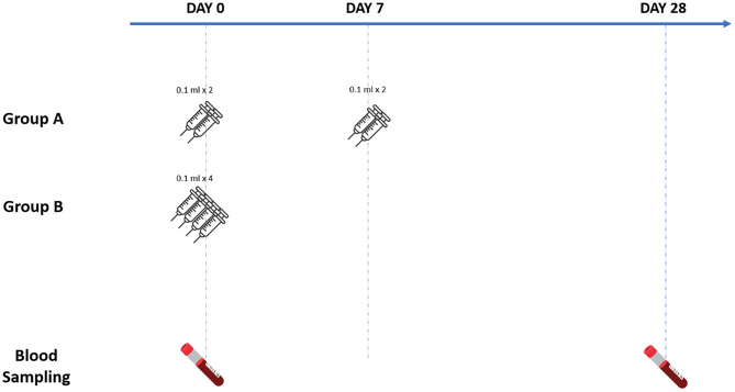 One-step ahead: evaluating the efficacy of single-visit rabies pre-exposure prophylaxis against conventional multi-visit protocol: a randomized non-inferiority clinical trial.