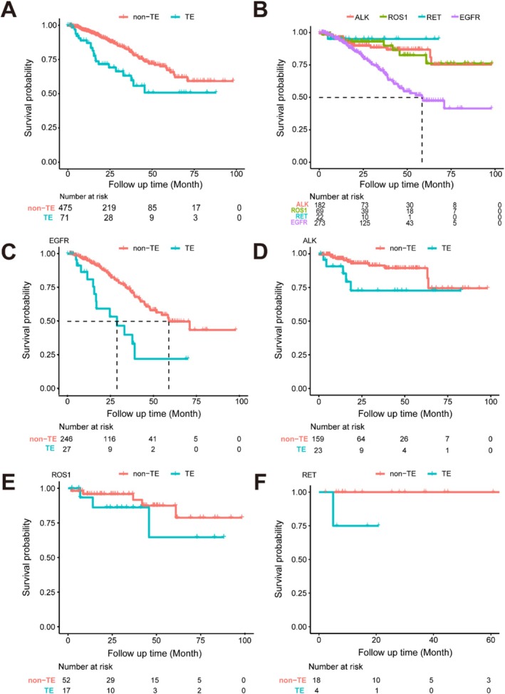 The Association Between Thromboembolic Events and ALK, ROS1, RET Rearrangements or EGFR Mutations in Patients With Advanced Lung Adenocarcinoma: A Retrospective Cohort Study.