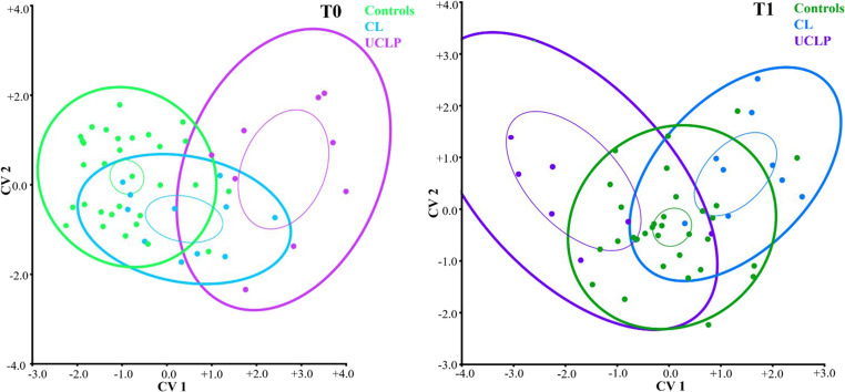 From infancy to toddlerhood: A 3D analysis of facial asymmetry in children with and without orofacial clefts.