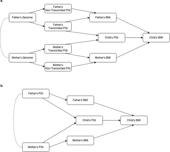 The association between parental BMI and offspring adiposity: A genetically informed analysis of trios.