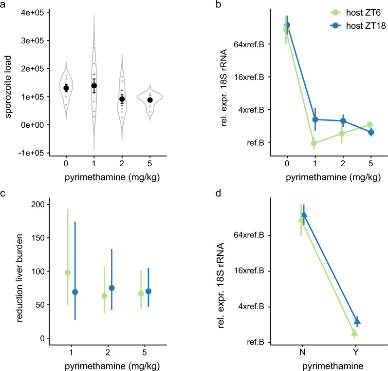 Time-of-day of infection: impact on liver stage malaria parasites in untreated and drug-treated hosts.