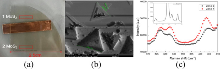 Investigation of 2H/1T/1T′ phase MoS2 optical nonlinearity