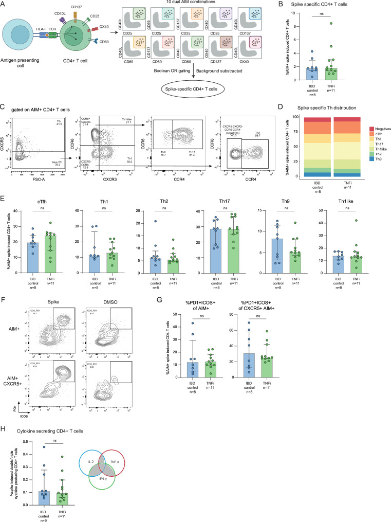 TNF inhibitors affect the induction and maintenance of spike-specific B-cell responses after mRNA vaccination.