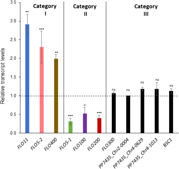 Flo5-1 and Nrg1 are involved in reversible pH-dependent flocculation in Komagataella phaffii
