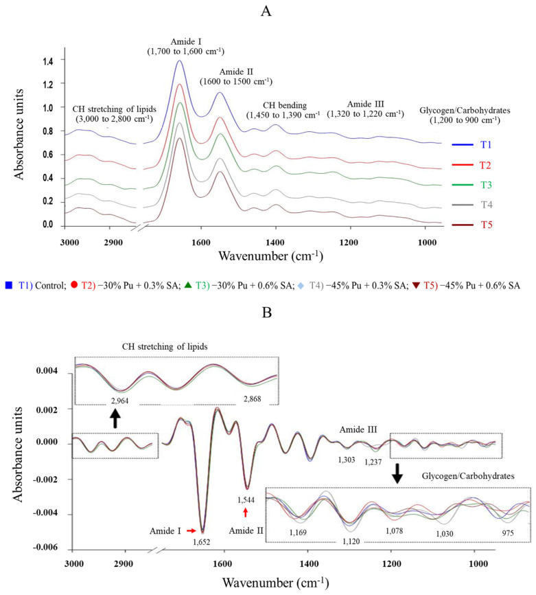 Effects of low-purine diet supplemented with Sida acuta Burm. f. on growth performance, purine deposition, and biomolecules in slow-growing chickens.