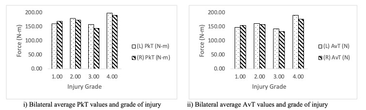 Does the Eccentric Strength Profile of the Hamstrings Determine the Severity of Injury Sustained?