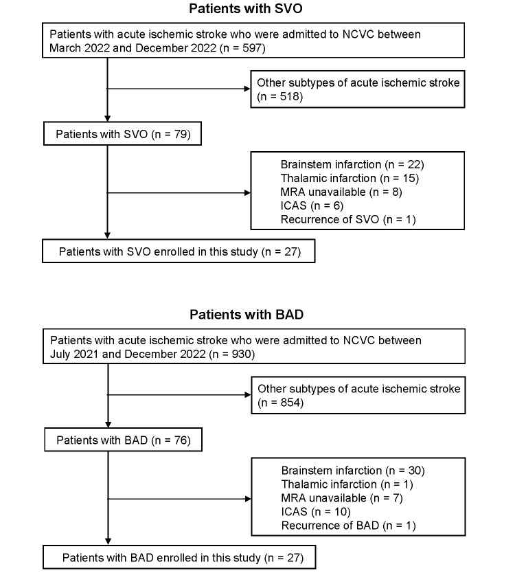 High Middle Cerebral Artery Wall Shear Stress in Branch Atheromatous Disease: A Computational Fluid Dynamics Analysis.