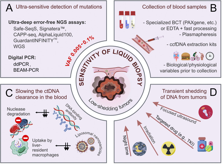 Improvement of the sensitivity of circulating tumor DNA-based liquid biopsy: current approaches and future perspectives.