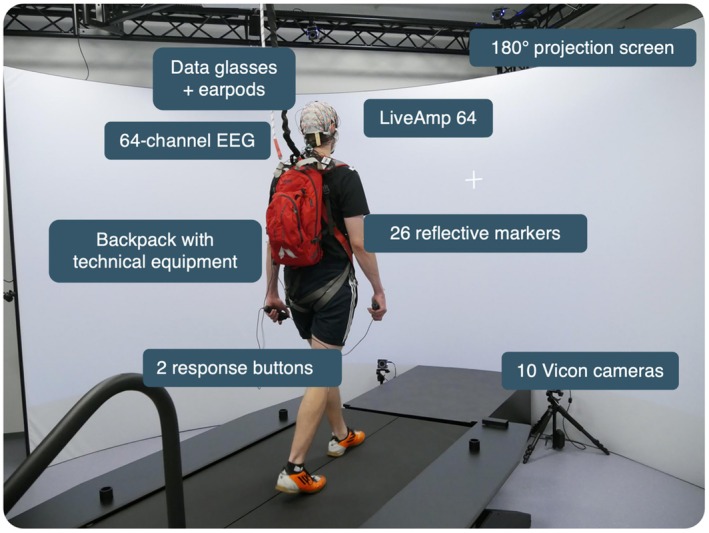 How Do Humans Process Audiovisual Cues for Task-Switching While Walking? An EEG/ERP Study.