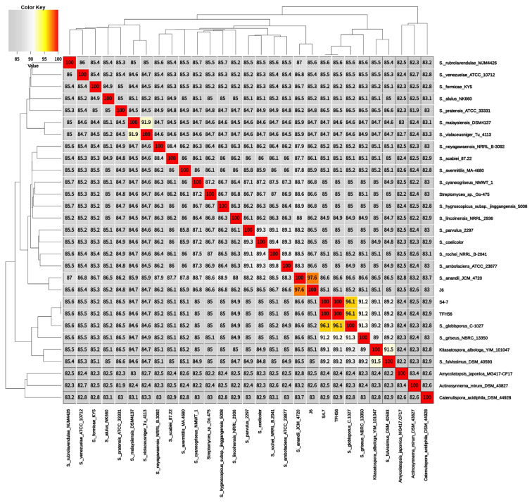 Functional Characterization of Polyketide Synthase Clusters in Streptomyces anandii J6.