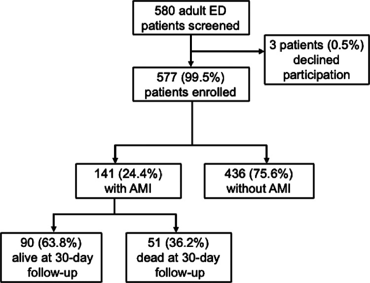 Implementation Outcomes of an Intervention to Improve Myocardial Infarction Care in Tanzania.