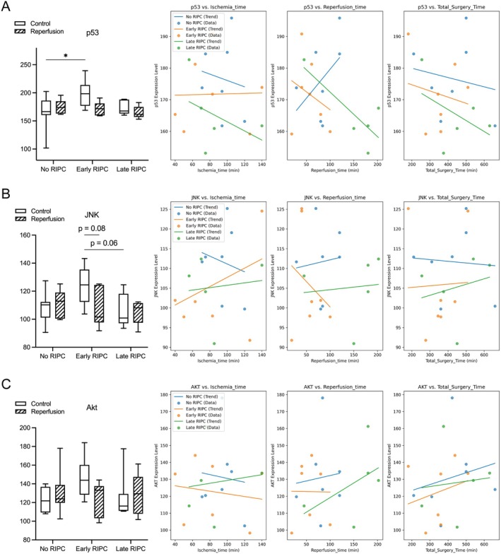 Ischemia-Reperfusion Injury in Free Flaps: Molecular Mechanisms and Protective Effects of Remote Ischemic Preconditioning.