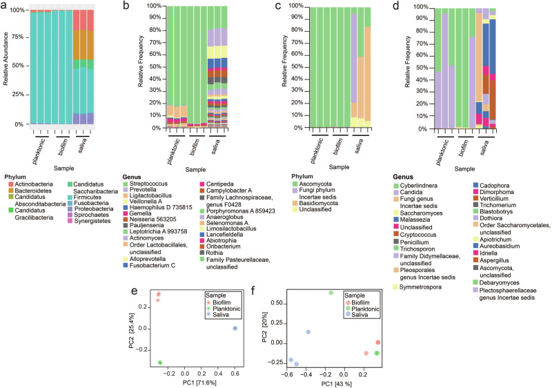 Impact of the RaS-RiPP tryglysin and culturing conditions on ex-vivo oral microbiomes.