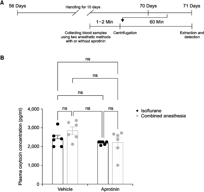 Variability in Oxytocin Blood Levels in Rats: A Review and Experimental Insights.