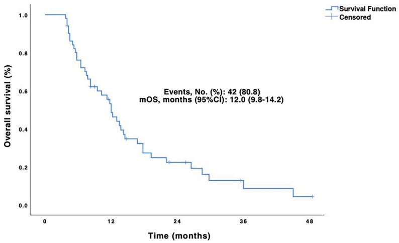 Effectiveness of Second-Line Pembrolizumab Monotherapy for the Treatment of Nonsmall Cell Lung Cancer: A Retrospective-Single Institution Study of 52 Vietnamese Patients.