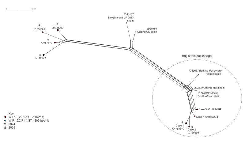 Genomic analysis of <i>Neisseria meningitidis</i> serogroup W causing invasive meningococcal disease in four travellers from Saudi Arabia, Italy, 2025.