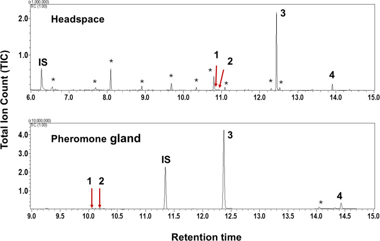 The Role of Larval Nutrition in Shaping Pheromone Composition in Fall Armyworm.