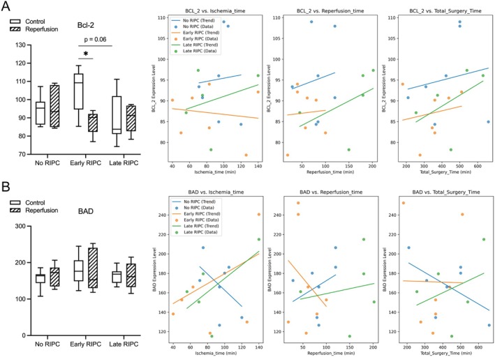 Ischemia-Reperfusion Injury in Free Flaps: Molecular Mechanisms and Protective Effects of Remote Ischemic Preconditioning.