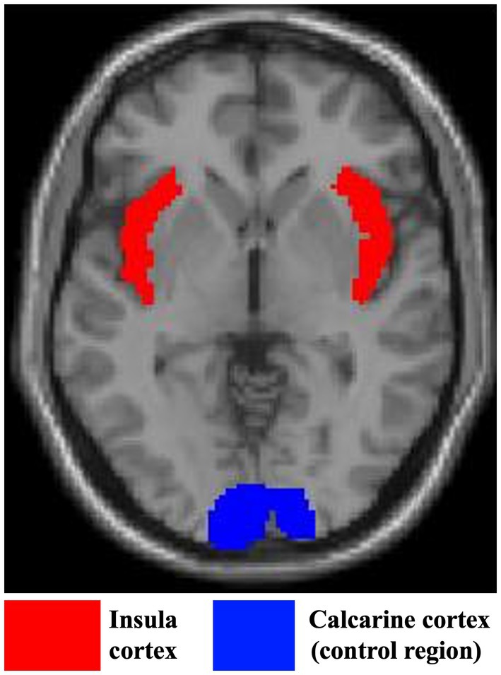 Factors Linking Interoception and Sleep Across the Adult Lifespan.