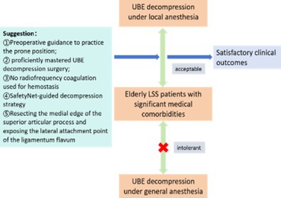 Unilateral Biportal Endoscopic Decompression for Degenerative Lumbar Spinal Stenosis Under Local Anesthesia in Elderly Patients with Medical Comorbidities.