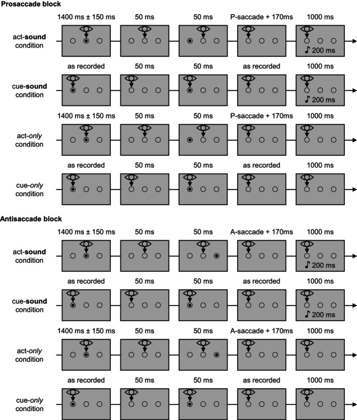 Conflicting Motor Plans and Sensory Attenuation: Evidence From Event-Related Potentials for Sounds Generated by Pro- and Antisaccades.