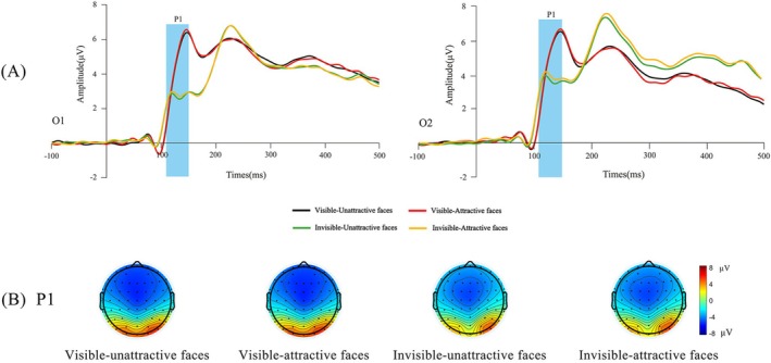 Invisible and Visible Processing of Facial Attractiveness in Implicit Tasks: Evidence From Event-Related Potentials (ERPs).