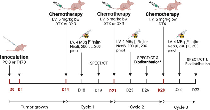 Chemotherapy alters radiosensitivity and GRPR expression of prostate and breast cancer cells.