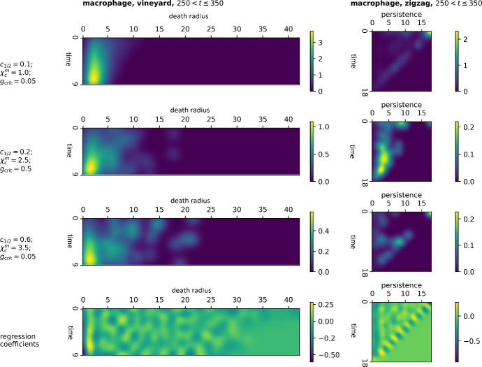 Topological classification of tumour-immune interactions and dynamics.