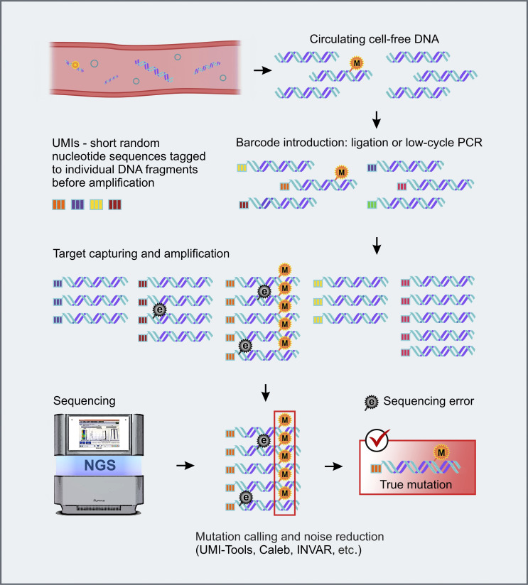 Improvement of the sensitivity of circulating tumor DNA-based liquid biopsy: current approaches and future perspectives.