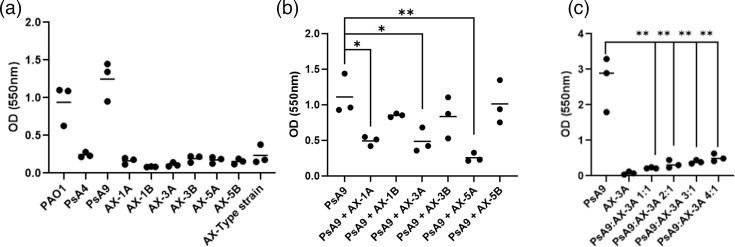 The cystic fibrosis pathogen <i>Achromobacter xylosoxidans</i> inhibits biofilm formation of <i>Pseudomonas aeruginosa</i>.