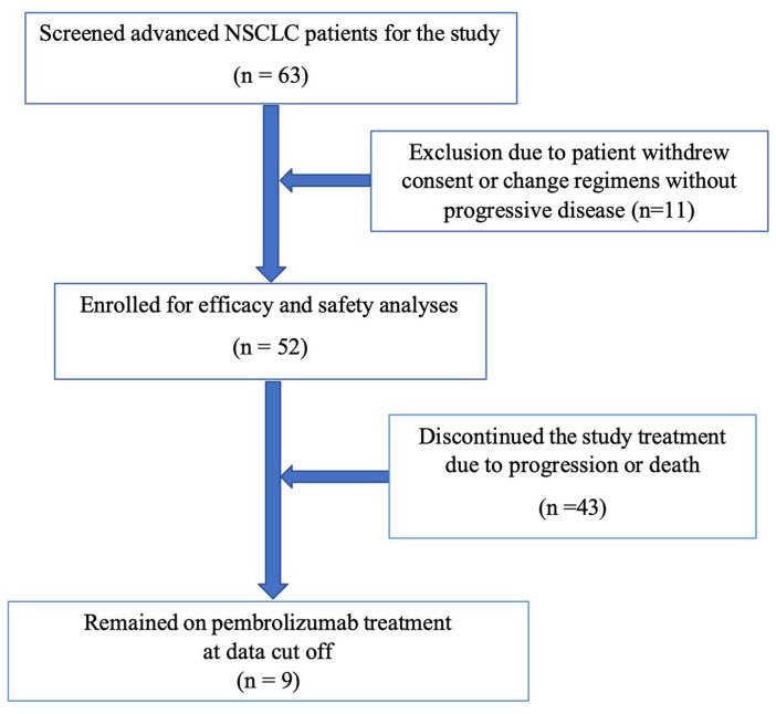 Effectiveness of Second-Line Pembrolizumab Monotherapy for the Treatment of Nonsmall Cell Lung Cancer: A Retrospective-Single Institution Study of 52 Vietnamese Patients.