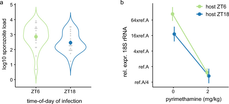 Time-of-day of infection: impact on liver stage malaria parasites in untreated and drug-treated hosts.